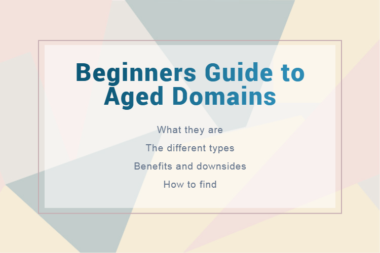 Beginners Guide to Aged Domains - Domain Hunting Guides