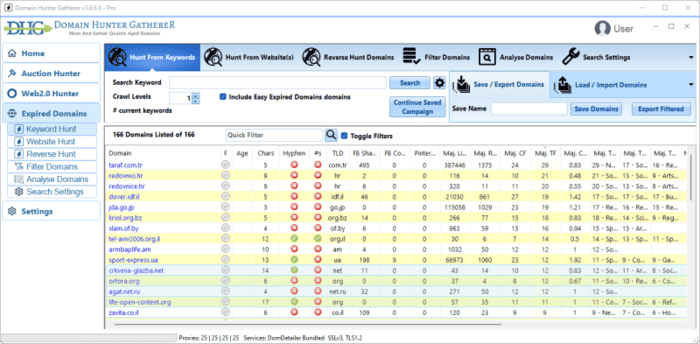 The Domain Hunter Gatherer v3 workspace listing discovered expired domains.