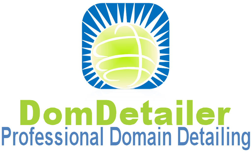 DomDetailer logo