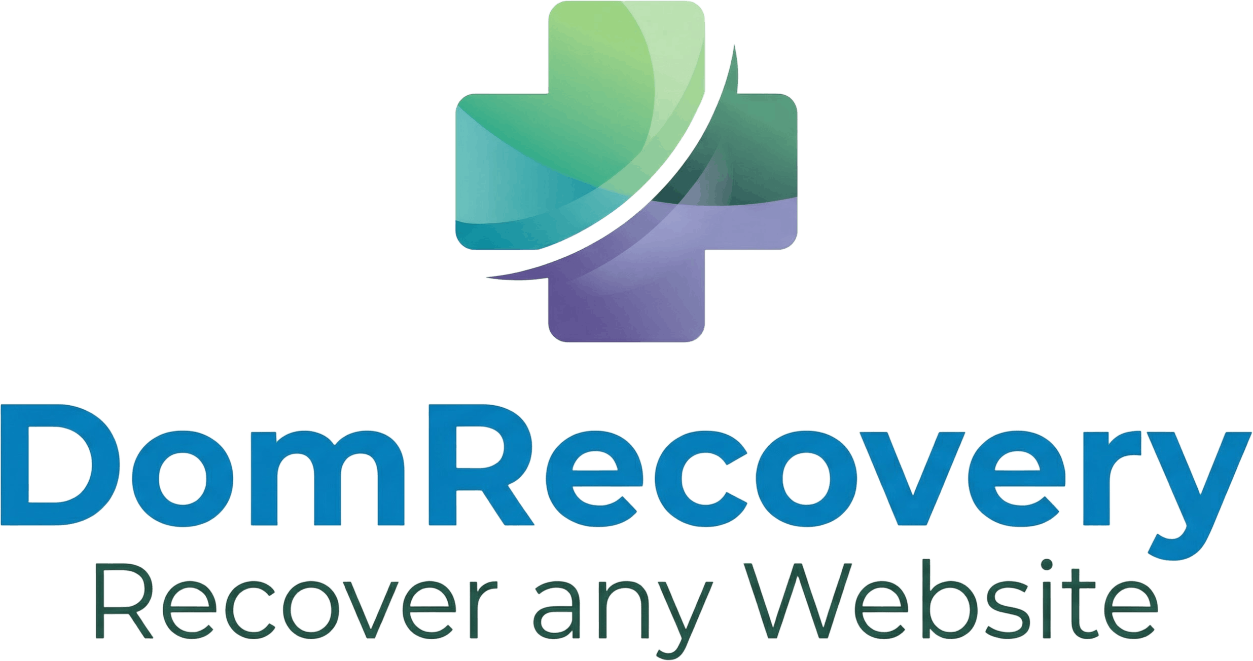 DomRecovery 2026 logo
